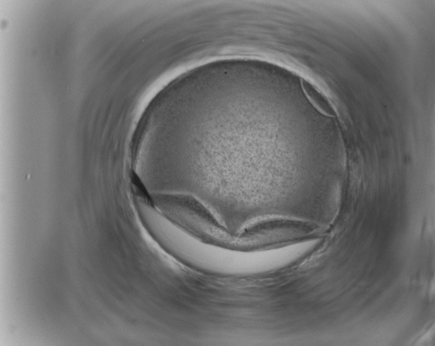 X0000085291527200703231820