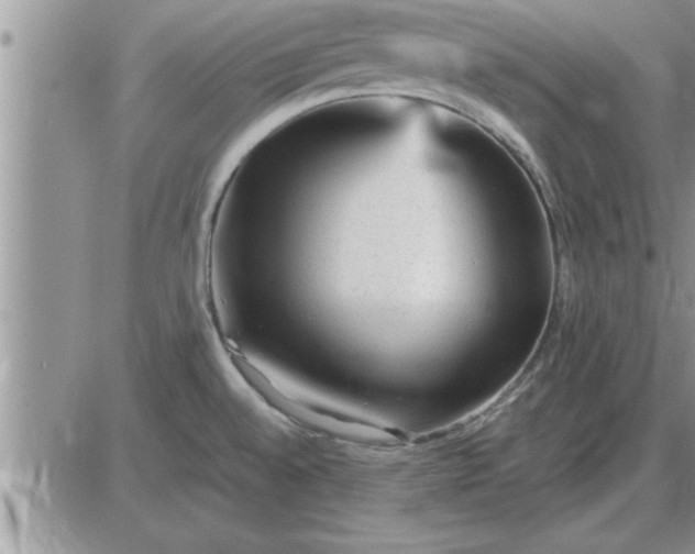 X0000085291528200703231820