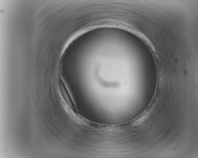 X0000085291530200703231820