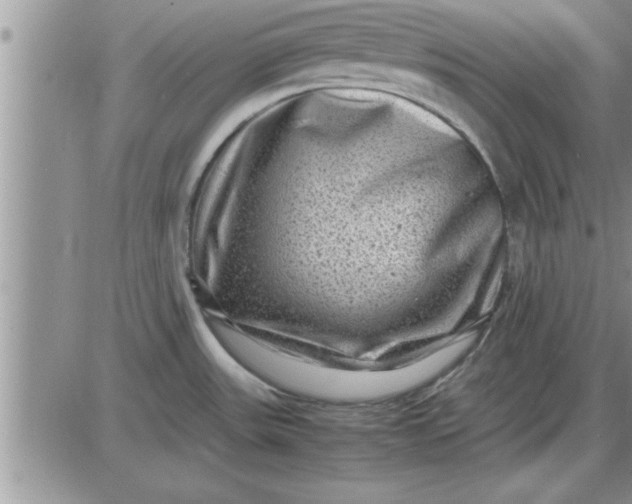 X0000085291531200703231820