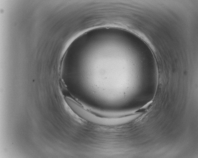 X0000085291532200703231820