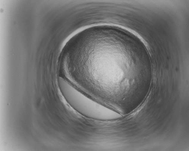 X0000085291534200703231820