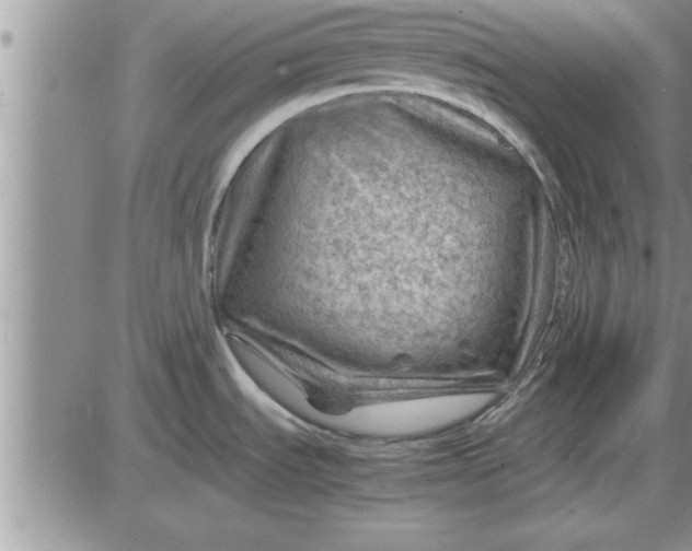 X0000085291535200703231820