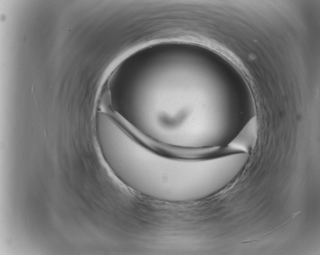 X0000085291536200703231820