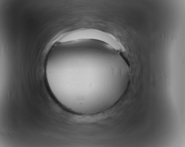 X0000085290005200703301948