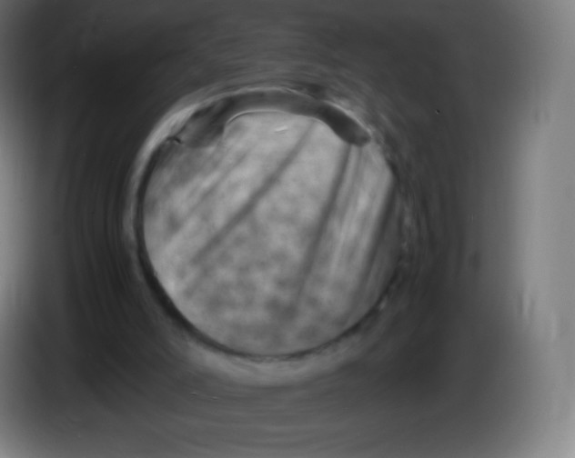 X0000085290006200703301948