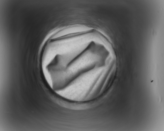 X0000085290008200703301948
