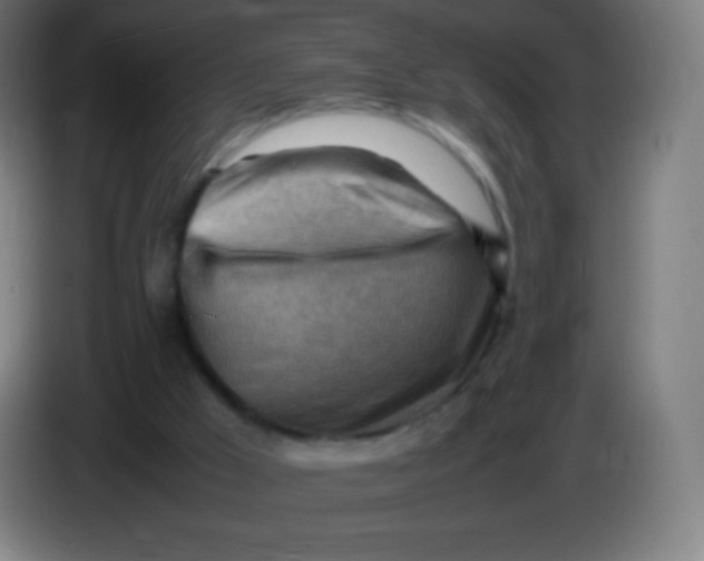 X0000085290009200703301948