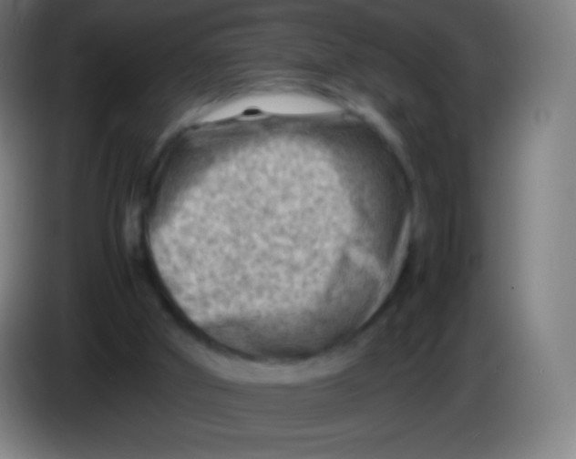 X0000085290010200703301948
