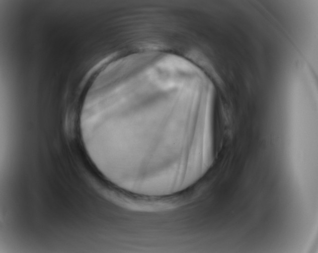 X0000085290012200703301948
