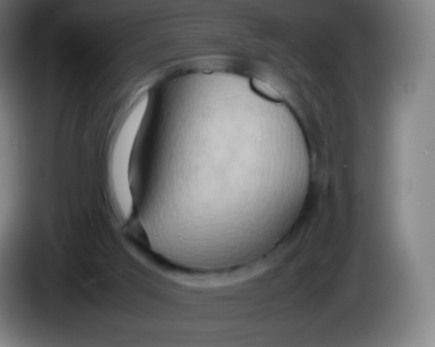 X0000085290013200703301948