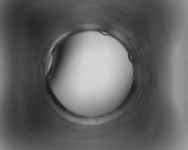 X0000085290015200703301948