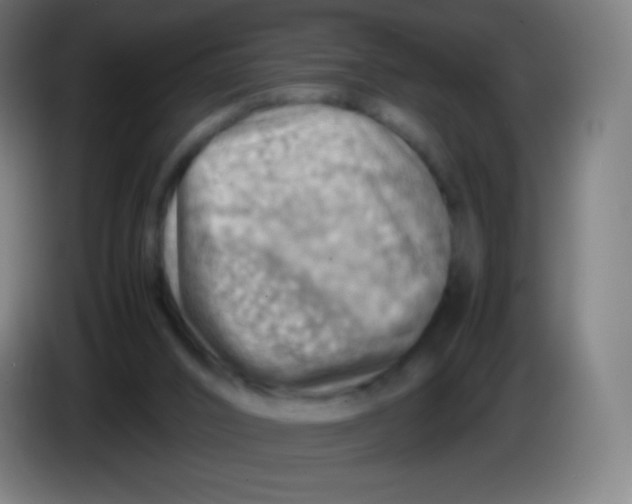 X0000085290016200703301948