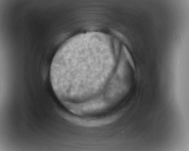 X0000085290018200703301948