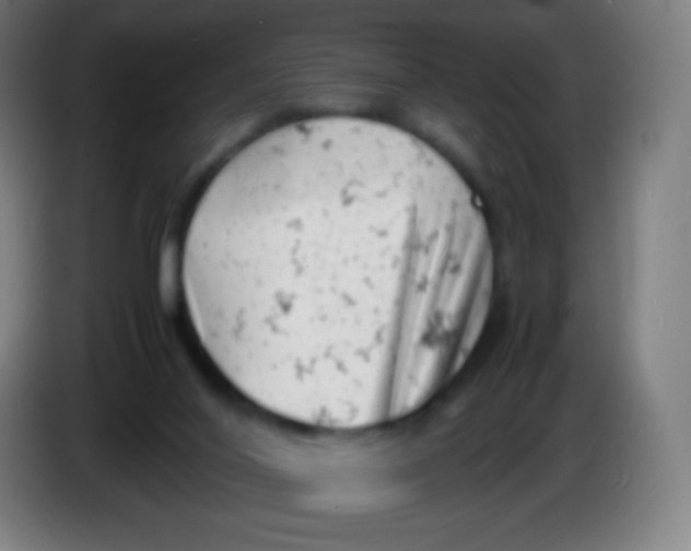 X0000085290020200703301948