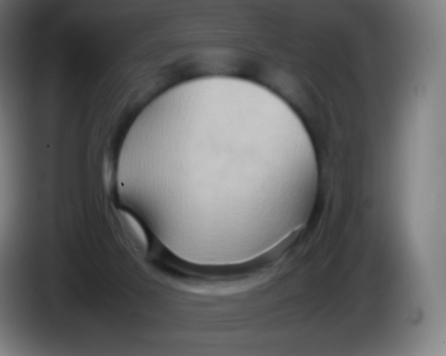 X0000085290021200703301948