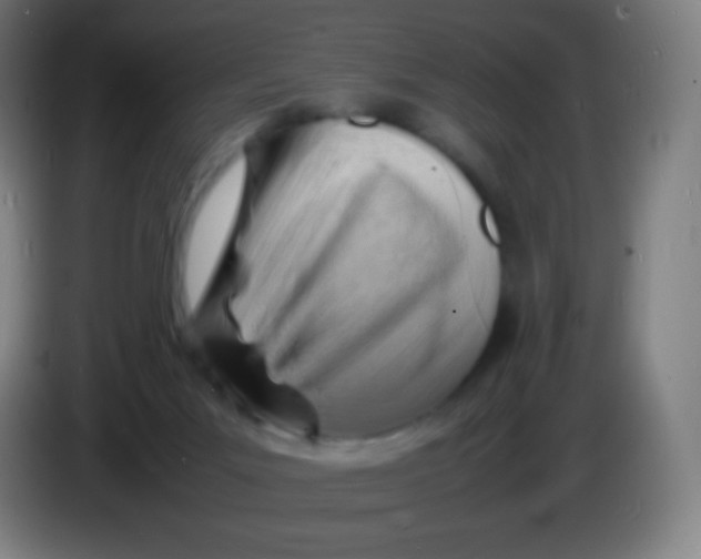 X0000085290023200703301948