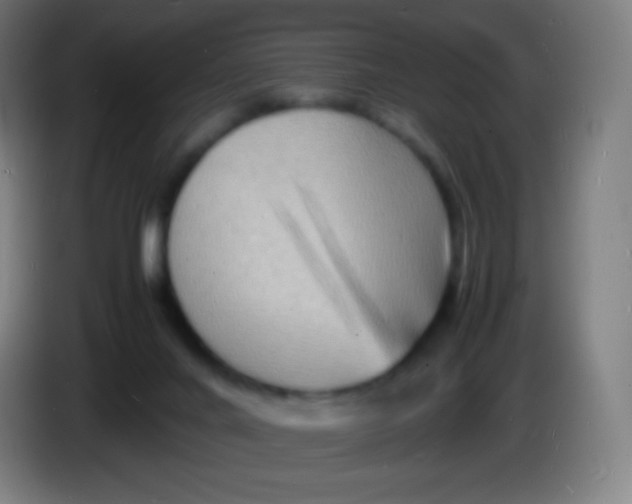 X0000085290024200703301948