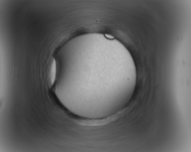 X0000085290025200703301948