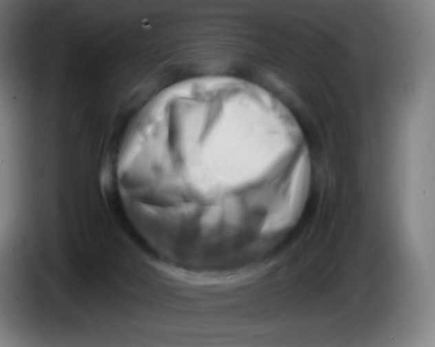 X0000085290026200703301948