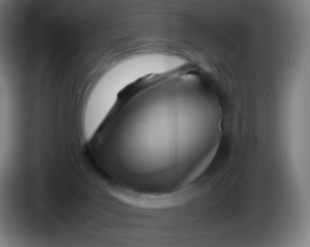 X0000085290027200703301948
