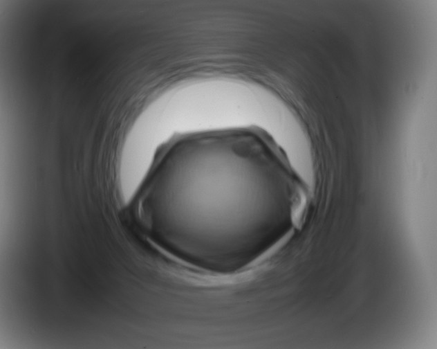 X0000085290031200703301948