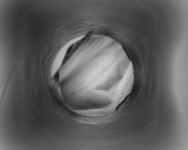 X0000085290033200703301947
