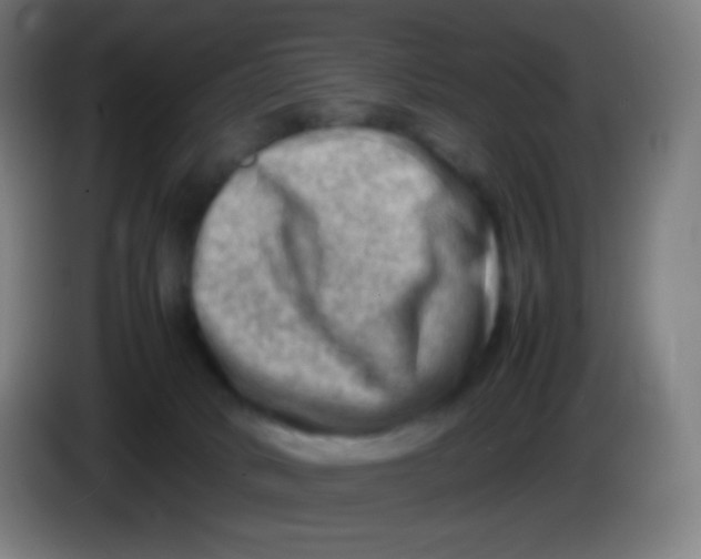 X0000085290034200703301947