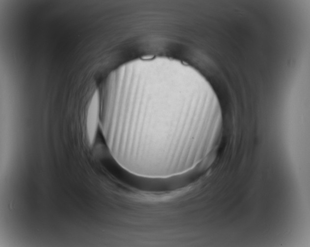 X0000085290037200703301947
