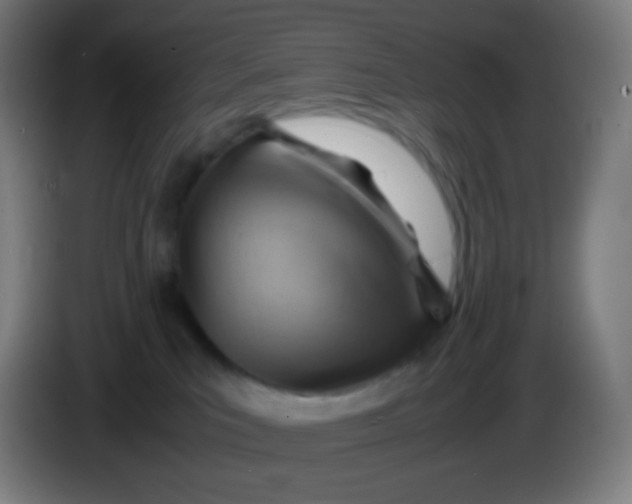 X0000085290039200703301947