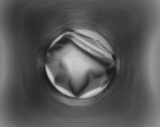X0000085290040200703301947