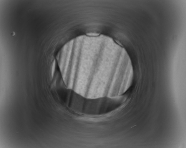 X0000085290041200703301947