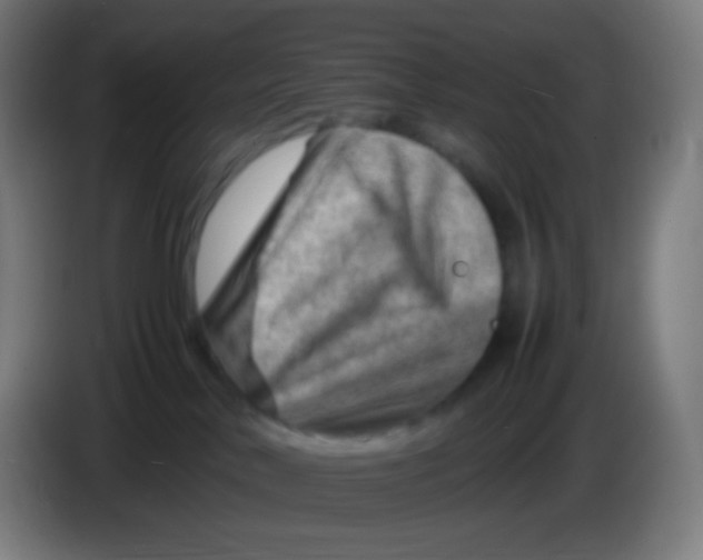X0000085290042200703301947