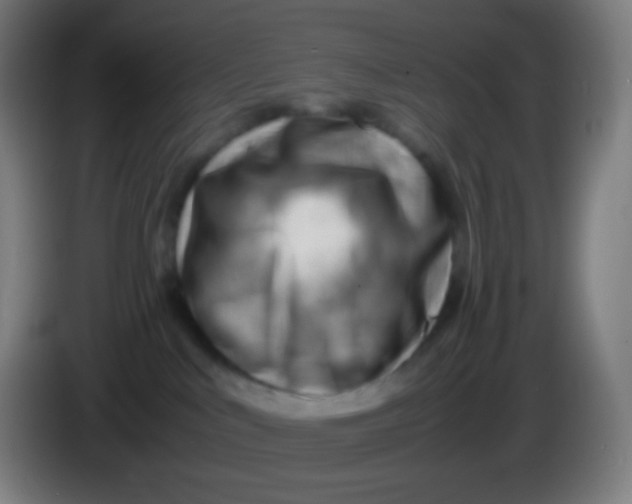 X0000085290043200703301947