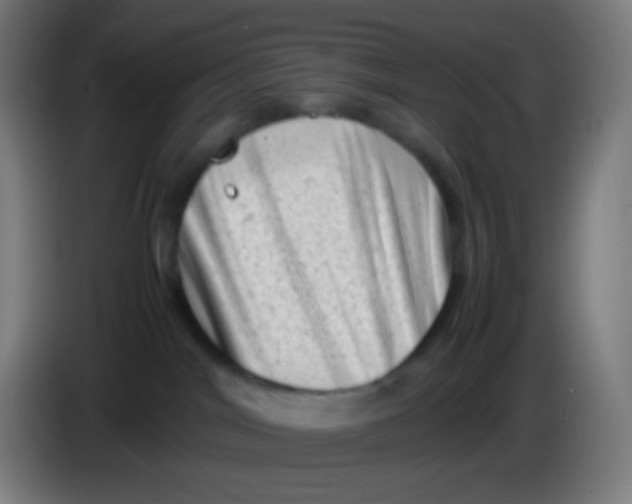 X0000085290044200703301947