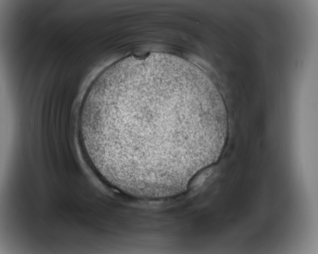 X0000085290049200703301947