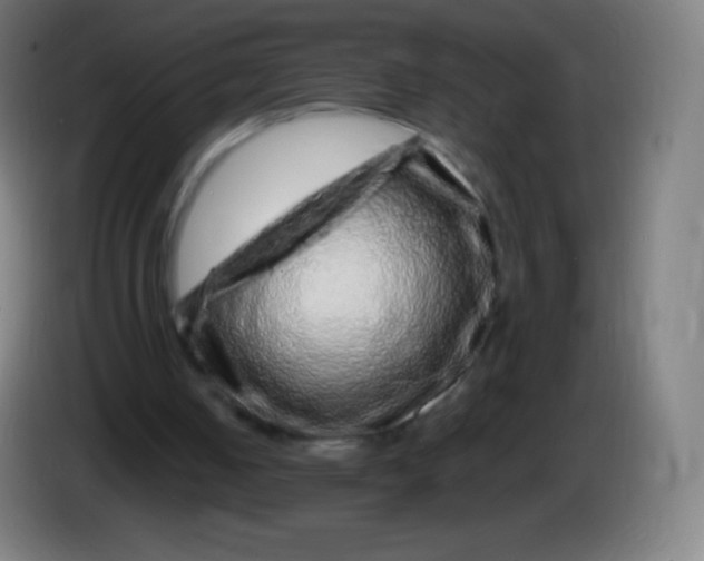 X0000085290050200703301947