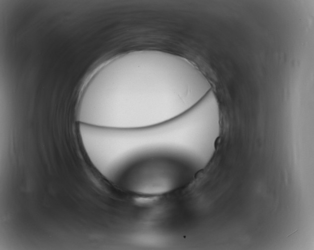 X0000085290051200703301947