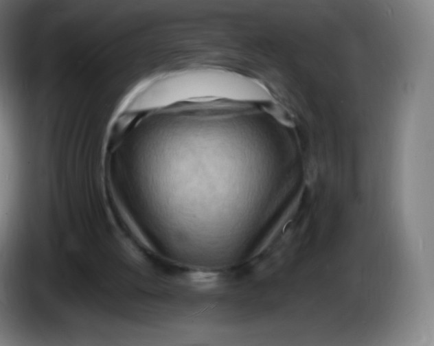 X0000085290052200703301947