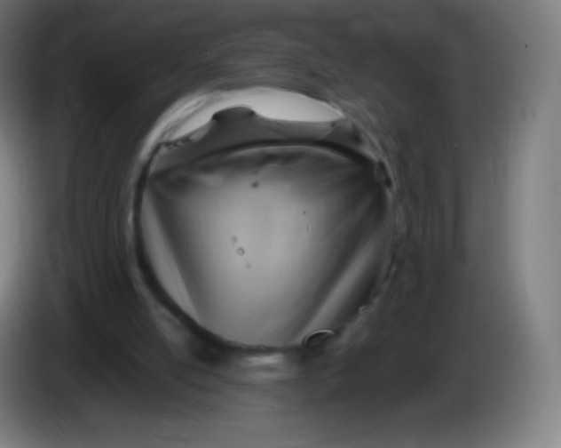 X0000085290054200703301947