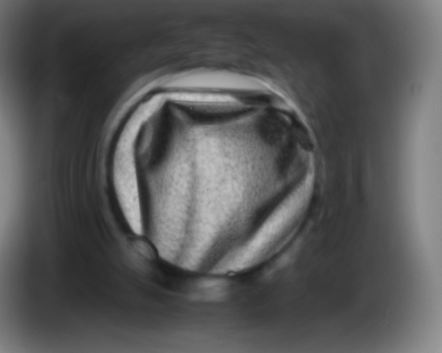 X0000085290055200703301947