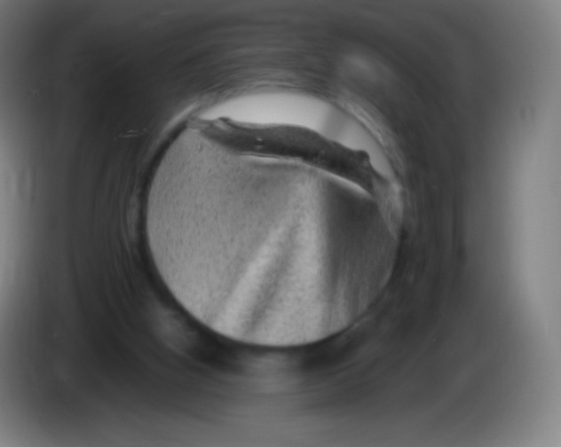 X0000085290058200703301947