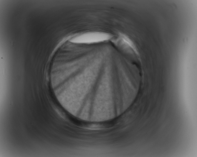 X0000085290059200703301947