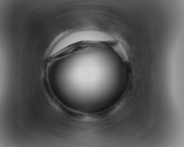 X0000085290060200703301947