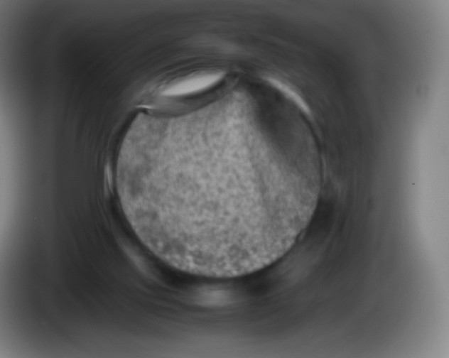 X0000085290061200703301947