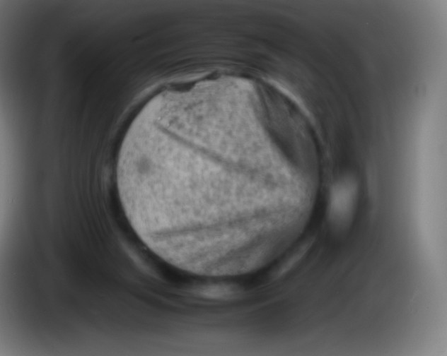 X0000085290063200703301947