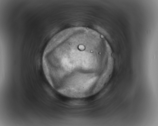 X0000085290065200703301947