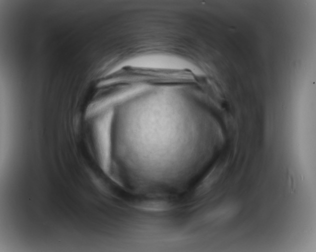 X0000085290066200703301947