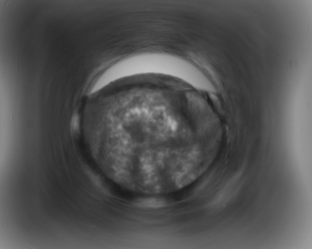 X0000085290067200703301947