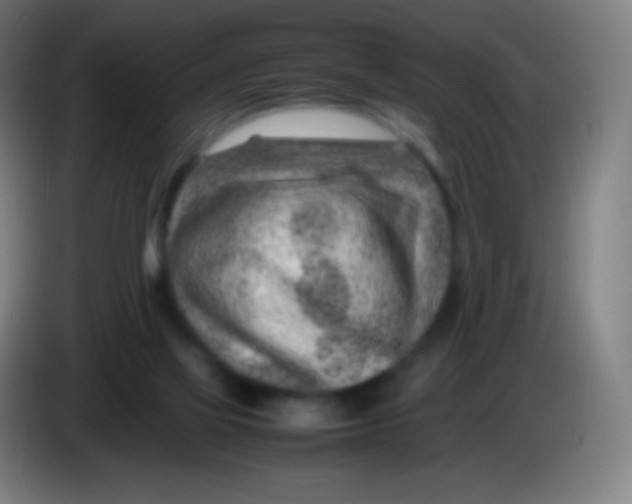 X0000085290069200703301947